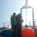 배꼽친구 이미지