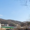 238 이미지