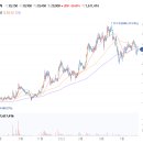 서프라이즈PC 이미지