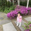 정호일 | 성예지가 놀이터에서 놀면서 최초의 인류에 대해서 배우고 있네요 / 성예지할배