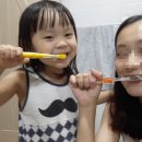 [후기]소중한 아이들의 치아건강 브러쉬버디즈 키즈칫솔