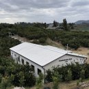 서우농장 | 애월 감귤농장 탐나는농장 체험후기