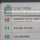 6727 | 명동 블루리본 맛집 명동역 맛집 "마노디셰프 명동점" 딸기피자 후기