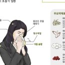 365강추한의원 이미지