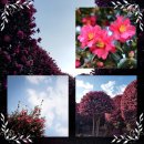 버스정류소_세천동 이미지