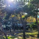 해오름관광농원 이미지