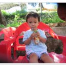 시우로2 이미지