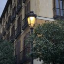 사랑방 한식당 | [마드리드] 사랑방 | 스페인 한식당 | BTS 방문 한식 맛집