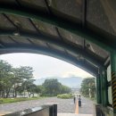 돌담집식당 | 과천 서울대공원 : 동물원/스카이리프트/라이언카페/돌담집식당 후기