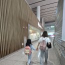 성보고등학교 | 독일 프랑스 스위스 유럽 렌트카 3주 여행 후기