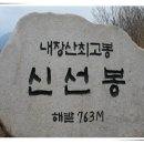 11/8일 100대명산 내장산 국립공원 단풍축제 산행갑니다~~ 이미지