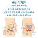 퀸즈파크여성병원 이미지