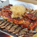 통통장어 이미지