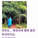 일일시호일 이미지