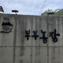 부부 농장 | [맛집 탐방 40] 청남대 대청호 인근 문의면 부부농장 맛집 방문 후기