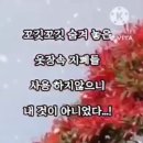 영광엔지니어링주 이미지