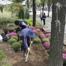 정왕본동 행정복지센터 이미지