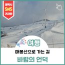 삼수령 휴게소 | 매봉산으로 가는길(바람의 언덕)