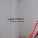 데이라이트 이미지