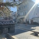 관아골 | 충주관아골카페 인사동 후기 꽃차와 그린티와플 디저트 투어