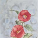 북구문화센터 이미지