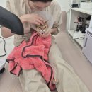 나비살롱 이미지