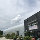 부여군산림조합 임산물유통센터 | 식집사가 되고싶다면 <천안시 산림조합 임산물유통센터>