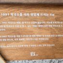 팔도1991 이미지