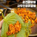 사우로 L 이미지