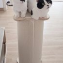 트레져타워 이미지