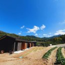 동산오토캠핑장 이미지
