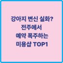 중화산2동 주민센터 | 전주 애견 미용샵 쁘띠멍 솔직 후기 - 꼼꼼함이 다르다 🐶✨