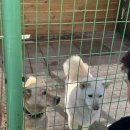 포천 주파크(Zoo Park) 후기 - 아이랑 함께하는 귀여운 동물 체험 공간