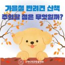 동물병원 산책 이미지