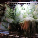 우천농장 이미지