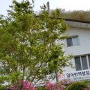 하얀집민박 이미지