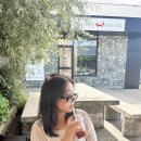 페어리오븐 | [뉴질랜드 2주여행] day4 파크앤세이브, 제랄딘, 페어리, 푸카키, 벤오하우(트위첼) 에어비앤비 숙소 후기