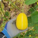 권관농장 이미지