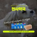 동인천약국 이미지