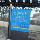 오송-비상-1호 네이버블로그