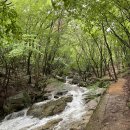 동학사 매표소 이미지