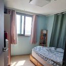 조천초등학교 이미지