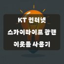 KT 인터넷 스카이 티브 광랜, 상세 가이드