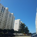 동신비디오