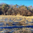 민가농장 이미지