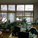 달안초등학교병설유치원 이미지