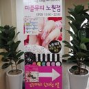 미콜 네이버블로그
