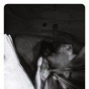 화순동물병원 이미지