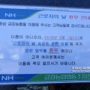 금강주유소 이미지