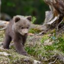 남은농장 이미지